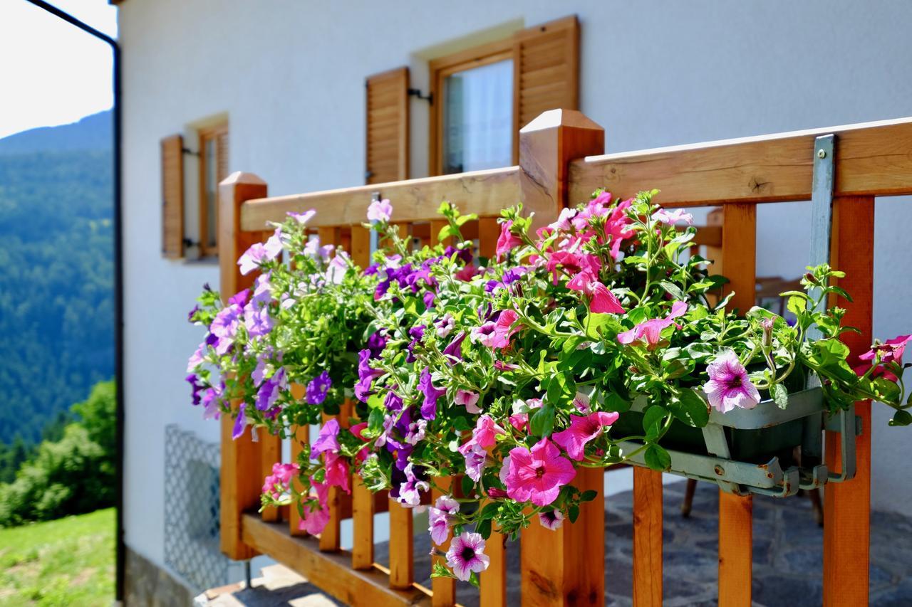 Agriturismo Reinhof San Felice  Εξωτερικό φωτογραφία